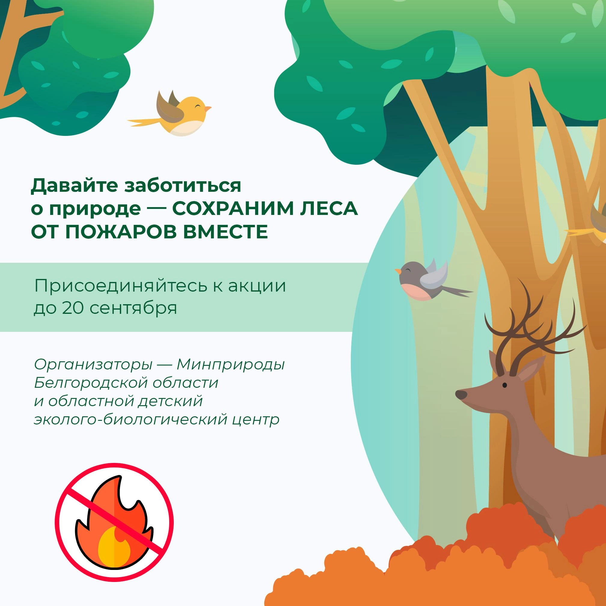 Акция &amp;quot;Сохраним леса от пожаров&amp;quot;.